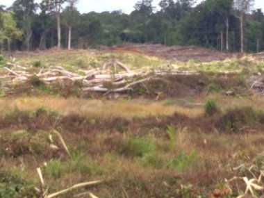 vektör modern soyut çember arka planı
