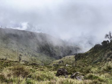 Sabahları dağların manzarası