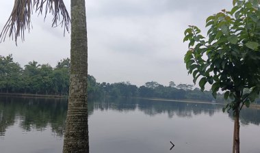 Arkasında bir göl olan güzel bir manzara.
