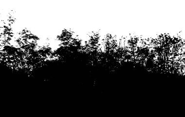 soyut siyah beyaz arkaplan