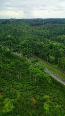 Sylhet Bangladeş 'teki yemyeşil çay bahçelerinin ve kırsal yolun hava aracı manzarası tepeler, orman ve demiryolu manzarasıyla çevrili.