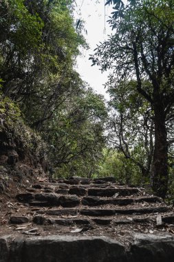 Nepal 'in Gandaki Eyaleti' ndeki Annapurna Ana Kampı yürüyüş rotası boyunca manzaralı orman patikası. Bereketli yeşillik, taş basamaklar ve huzurlu Himalaya vahşi doğası Güney Asya 'da sakin bir macera manzarası yaratır..