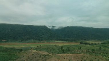 Jaflong, Sylhet, Bangladeş 'teki yemyeşil çay bahçeleri ve orman tepelerinden geçen dolambaçlı bir yolun sinematik hava görüntüsü. Yağmurdan önce manzaralı kırsal bir vadide bulutların toplandığı huzurlu kırsal bölge..