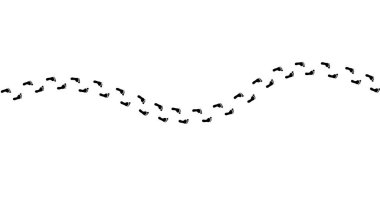 Farklı insan ayak izleri. Büyük bir ikon seti. Ayak izi, ayak izi ikonu koleksiyonu. İnsan ayak izleri silueti. Erkek ve kadın izleri. Yalınayak, spor ayakkabı ve ayak izi simgeleri. Vektör illüstrasyonu