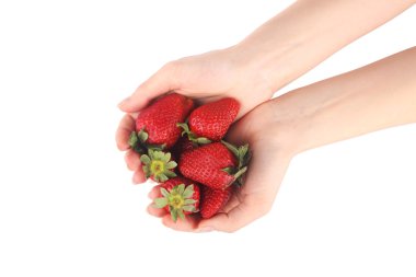 Hands holding fresh strawberries