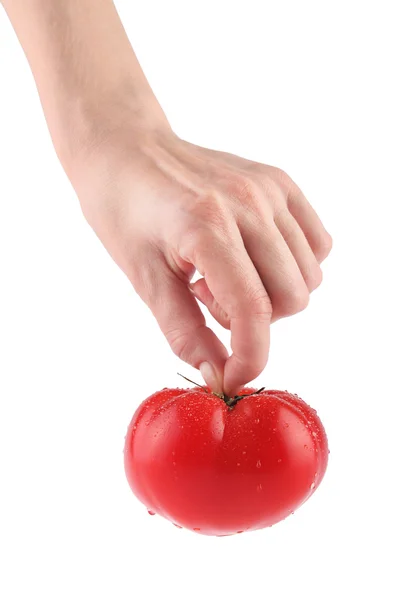 Pomidor w dłoni — Zdjęcie stockowe