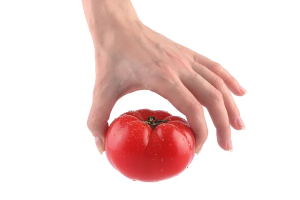 Tomate sanft in der Hand — Stockfoto