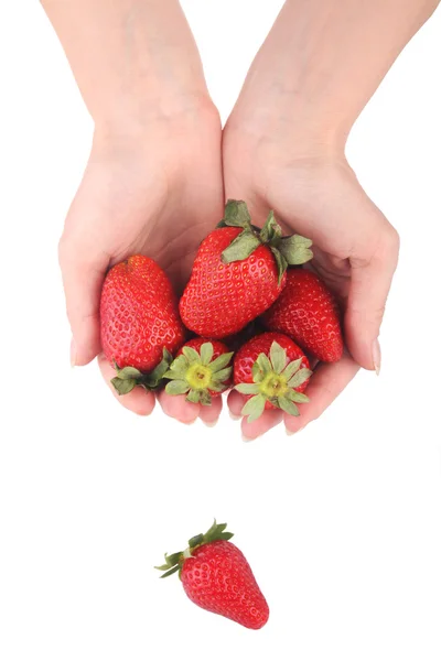 Berry in de hand Stockfoto