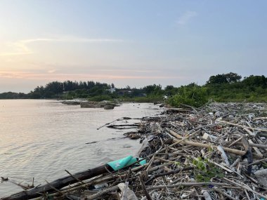 Çevre Krizi: Günbatımında Estetik ve Ahşap Döküntülerle Dolu Kirli Kıyı Hattı