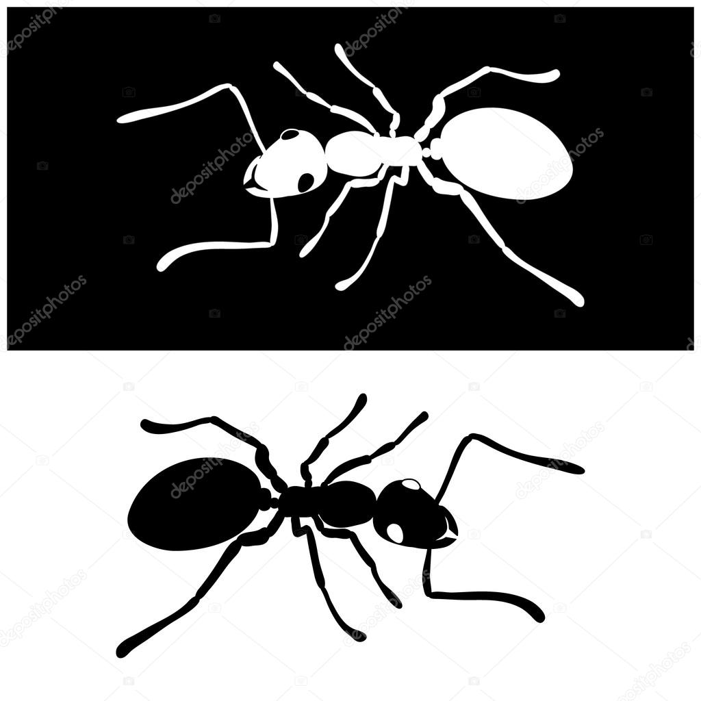Ant icon vector image