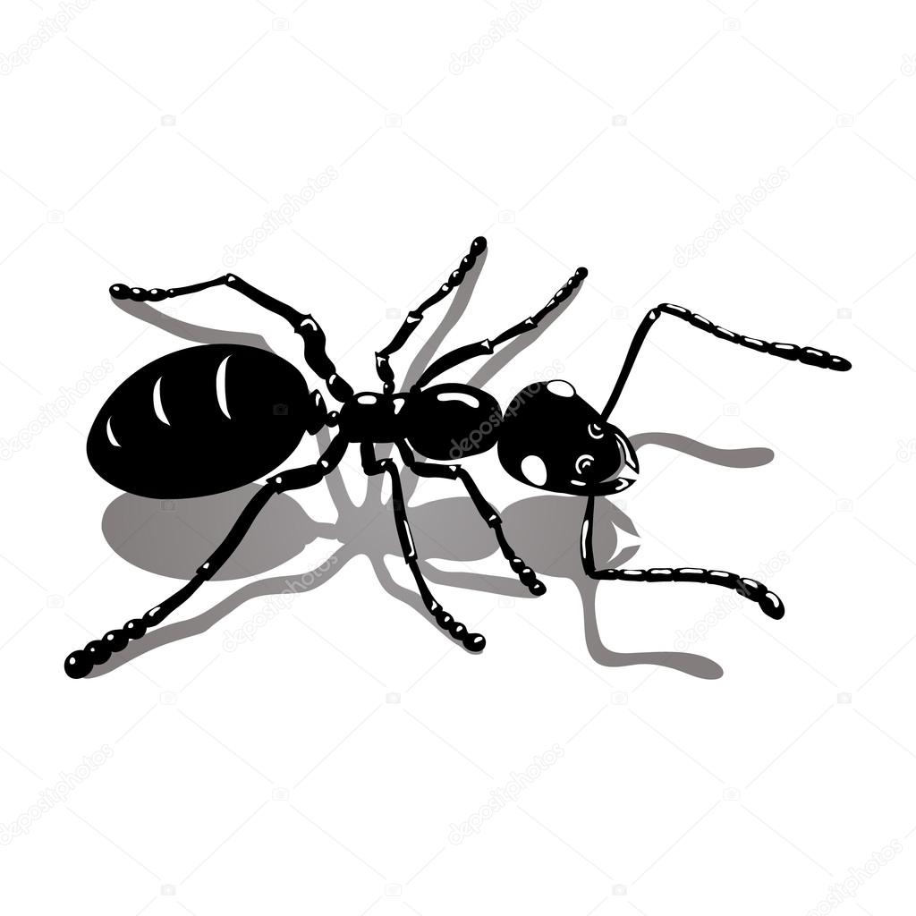 Ant icon vector image