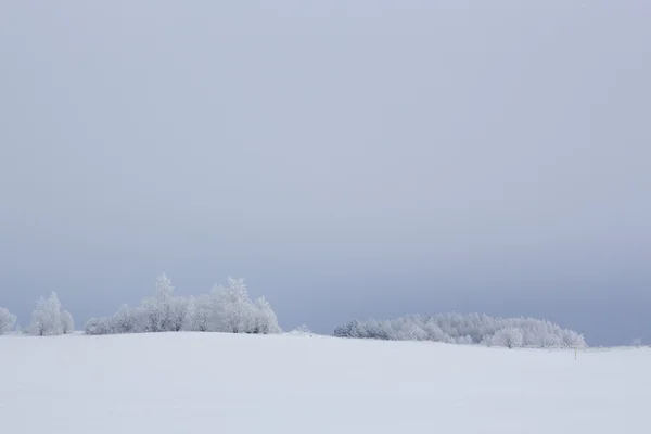 Winter snowy landscape — Stock Photo, Image