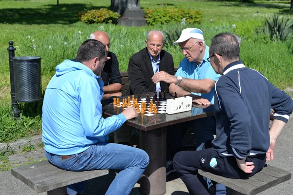 Chess player olay — Stockfoto