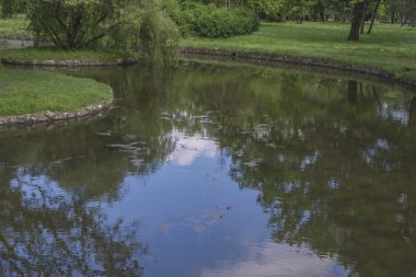 gökyüzü ve ahşap yansıma