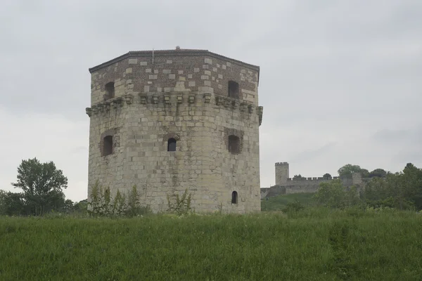 Fortaleza de Belgrado, torre de Nebojsa — Fotografia de Stock