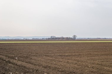 Baharda çiftçinin eviyle birlikte ekilebilir arazi manzarası.