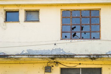 Novi Sad 'dan terk edilmiş Minaqua şirketinin camlarıyla harap olmuş.. 