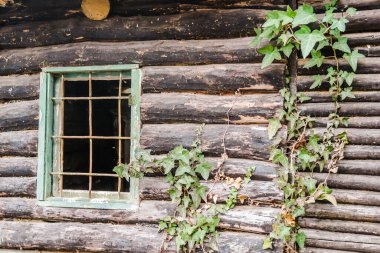Novi Sad kasabası yakınlarındaki Fruska Gora dağındaki yaprak döken orman. Ormanın kenarında terk edilmiş bir kulübe.. 