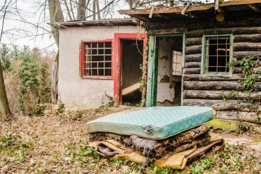 Novi Sad kasabası yakınlarındaki Fruska Gora dağındaki yaprak döken orman. Ormanın kenarında terk edilmiş bir kulübe.. 