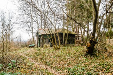 Novi Sad kasabası yakınlarındaki Fruska Gora dağındaki yaprak döken orman. Ormanın kenarında terk edilmiş bir kulübe.. 