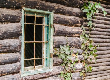 Novi Sad kasabası yakınlarındaki Fruska Gora dağındaki yaprak döken orman. Ormanın kenarında terk edilmiş bir kulübe.. 