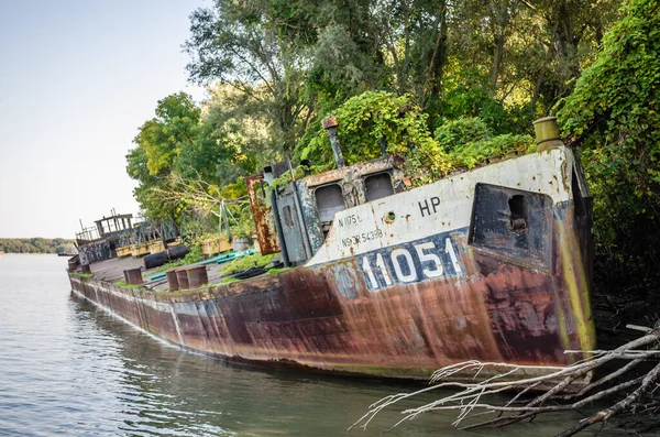 Novi Sad Srbsko Září 2019 Vrak Tankeru Dunaje Novém Sadu — Stock fotografie