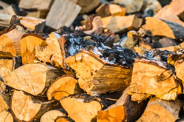 Novi Sad, Sırbistan - 27 Ekim. 2019: Novi Sad 'ın banliyölerinde fidanlık. Sonbahar güneşli bir günde fidanlıkta yaprak döken bitkiler. Kışın ısınmaya hazır odun..