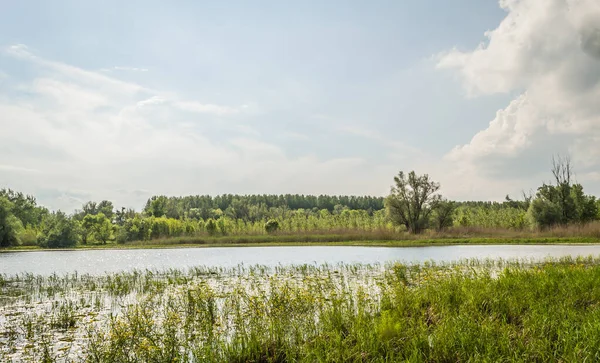 Novi Sad, Serbia - Aprile 28. 2019: The amount in the spring period of the year. Wetlands in Petrovaradin near the city of Novi Sad by the river Danube.