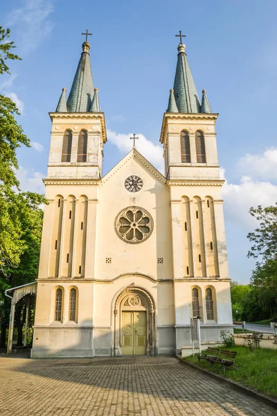 Novi Sad Serbia Abril 2019 Iglesia Nuestra Señora Las Nieves — Foto de Stock