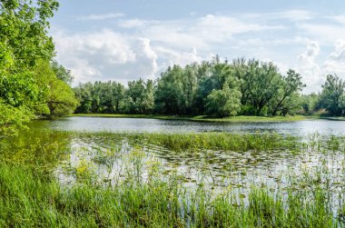 Novi Sad, Sırbistan - 28 Nisan. 2019: Novi Sad 'ın banliyöleri, Petrovaradin yılın bahar döneminde. Petrovaradin ve Bay Karlovac arasındaki bataklık panoraması, Novi Sad şehri yakınlarında..