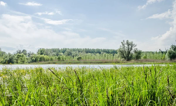 Novi Sad, Serbia - Aprile 28. 2019: Suburbs of Novi Sad, Petrovaradin in the spring period of the year. Panorama of the swamp between Petrovaradin and Sr. Karlovac, near the city of Novi Sad.