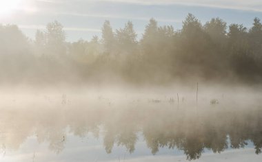 Novi Sad, Sırbistan - 22 Ekim 2015: Novi Sad kenti yakınlarında küçük bir doğal göl. Gölün kıyısı, ilk sabah sisiyle kaplıydı..