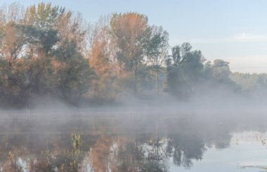Novi Sad, Sırbistan - 22 Ekim 2015: Novi Sad kenti yakınlarında küçük bir doğal göl. Gölün kıyısı, ilk sabah sisiyle kaplıydı..