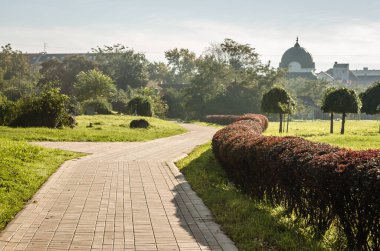 Sırbistan 'ın Novi Sad kentindeki parklardan birinde sonbahar ağaçları 