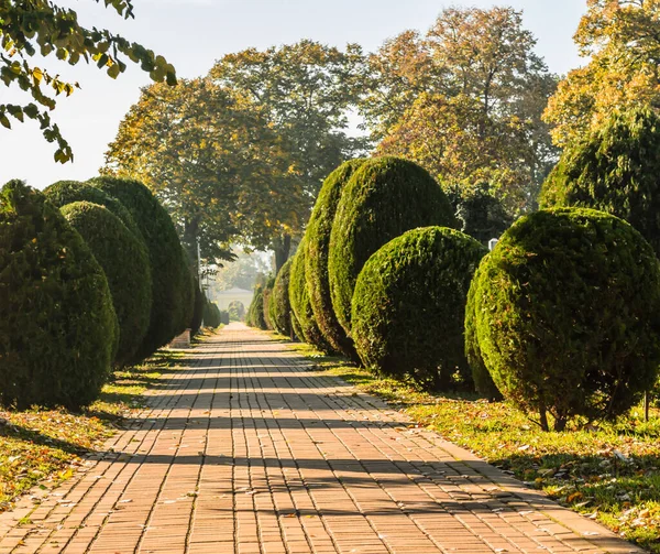 City park in Novi Sad in the autumn period of the year. Panorama of the City Park in Novi Sad in the autumn period of the year.