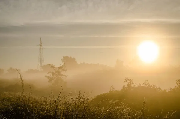 Novi Sad, Serbia - October 22, 2015: Exit from the suburbs near Novi Sad. The exit of the first morning rays of the sun at the exit from the suburbs.