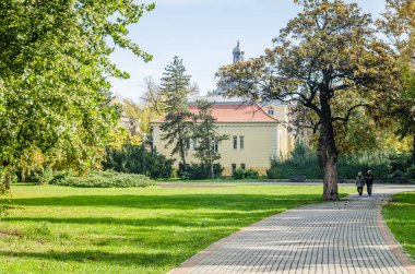 Sırbistan 'ın Novi Sad kentindeki parklardan birinde sonbahar ağaçları arasında yürüyüş izleri 