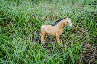 Çimlerin üzerinde oyuncak at 