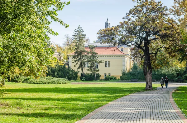 Sırbistan 'ın Novi Sad kentindeki parklardan birinde sonbahar ağaçları arasında yürüyüş izleri 