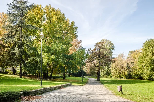 Procházková Stezka Mezi Podzimními Stromy Jednom Parků Města Novi Sad — Stock fotografie