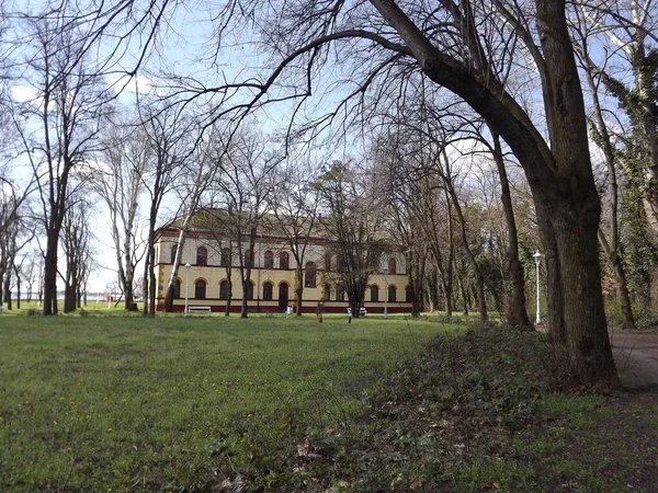 Subotica Servië April 2013 Park Palic Lake Een Zonnige Dag — Stockfoto