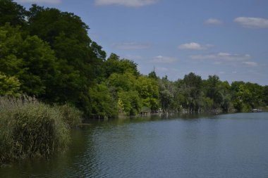 Vrdnik, Sırbistan - Mart 02. 2013: Sırbistan 'ın Voyvodina kenti Vrdnik yakınlarındaki Borovacko Gölü adlı yapay göl panoraması.