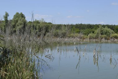 Vrdnik, Sırbistan - Mart 02. 2013: Sırbistan 'ın Voyvodina kenti Vrdnik yakınlarındaki Borovacko Gölü adlı yapay göl panoraması.   