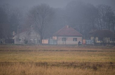 29 Aralık 2013 - Srbobran: Srbobran kasabası kışın Novi Sad yakınlarında siste