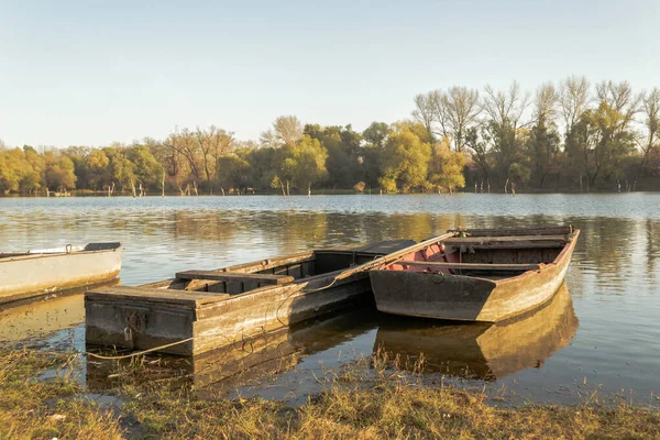 Förtöjda Träfiskebåtar För Stranden Bifloden Donau — Stockfoto