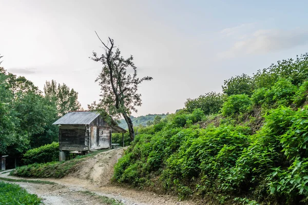 Cabana Madeira Abandonada Uma Montanha — Fotografia de Stock