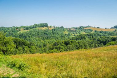 Sırbistan 'daki Tresnjevica yerleşiminin etrafındaki bir tepede bir açıklık.