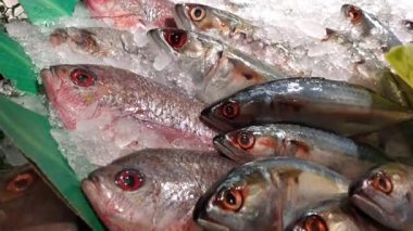 Deniz ürünleri pazarında satılmaya hazır taze taze taze balıklar sergileniyor. Tazeliği ve avın kalitesini ön plana çıkarıyor.