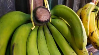 Geleneksel bir pazarda satılmaya hazır taze, olgun muzlar sergileniyor. Küçük ölçekli tarım kavramı ve tarım ürünlerinin çiftçilerden satıcılara ve sonra da tüketicilere dağıtımı.