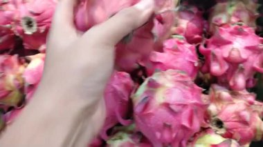 Bakış açısına göre pazarda taze ejderha meyvesi seçen bir el. Tazelik, besleyici ve organik gıdaları temsil ediyor. Sağlıklı yaşam tarzı içeriği için ideal